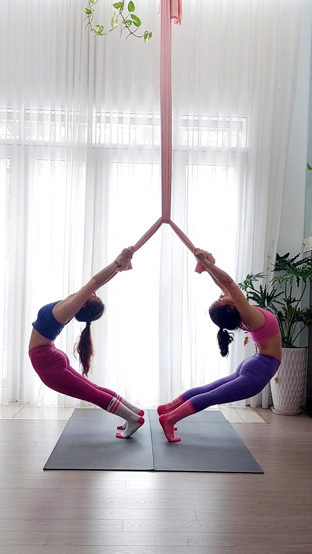 Studio Aerial Yoga tiêu chuẩn quốc tế