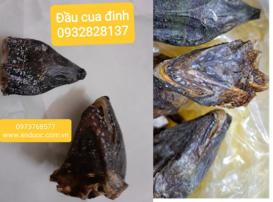 Xông sa tử cung đầu cua đinh tại nhà