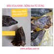 đầu cua đinh xông sa tử cung