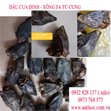 Bán đầu cua đinh xông bà đẻ