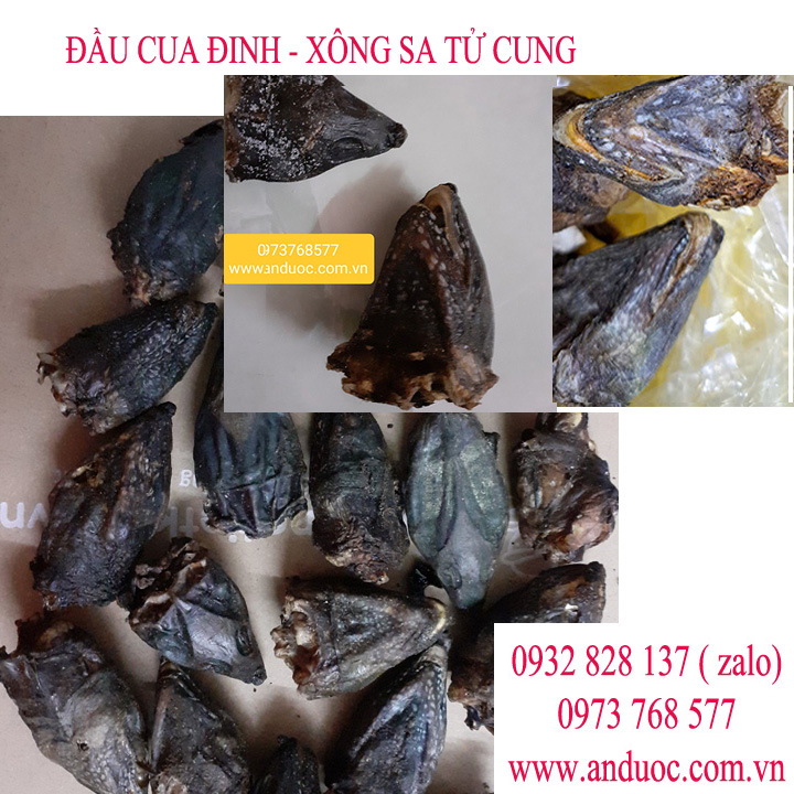 Bán đầu cua đinh xông bà đẻ