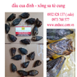 Xông đầu cua đinh cho người bệnh sa dạ con