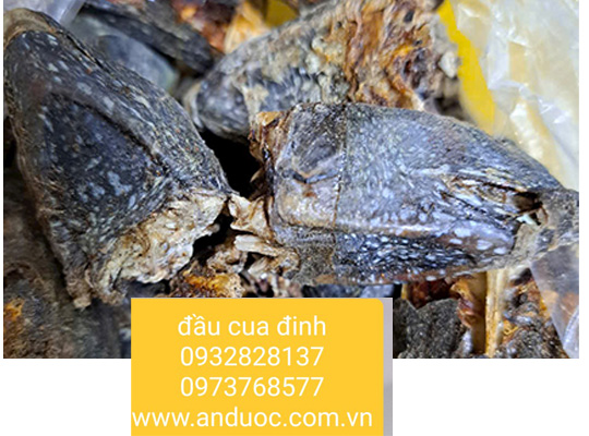 Cách xông đầu cua đinh chữa trị bệnh sa tử cung