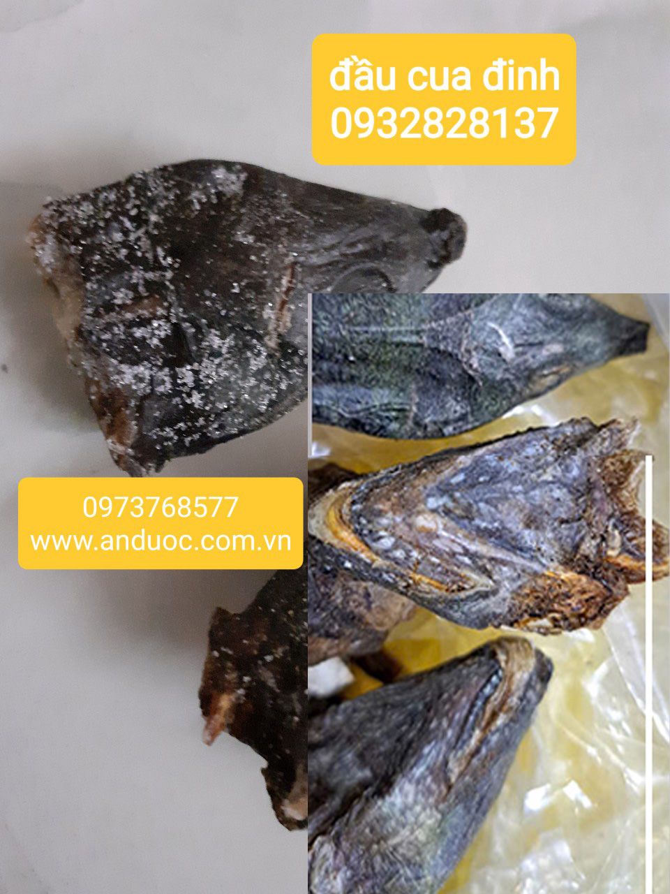 Xông gì để chữa trị bệnh sa da con sau sinh