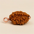 Hạt Isha Dwimukhi Rudraksha vợ chồng cùng đeo
