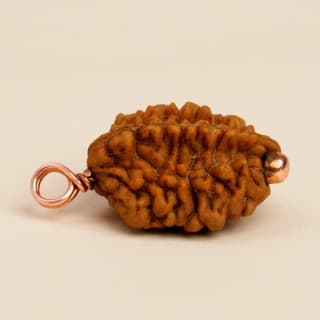 Hạt Isha Dwimukhi Rudraksha vợ chồng cùng đeo