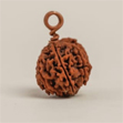 Hạt Rudraksha Isha Shanmukhi (sáu mặt)