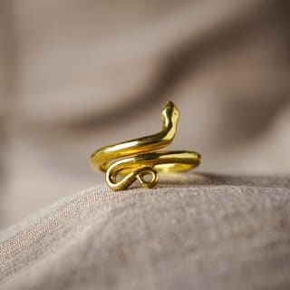 Nhẫn Rắn Vàng Thánh Hiến